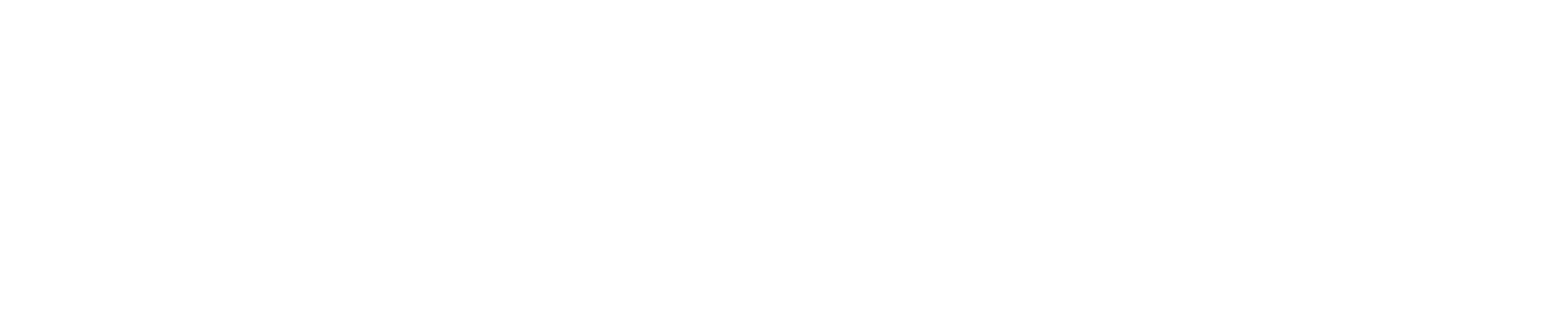 Gurses Invest